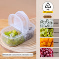 Dual Compartment Food Storage Container & Spice Organizer