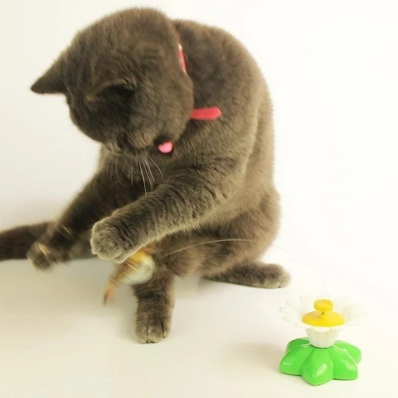 Electric Butterfly Flying Cat Toy – Flower Motion Teaser