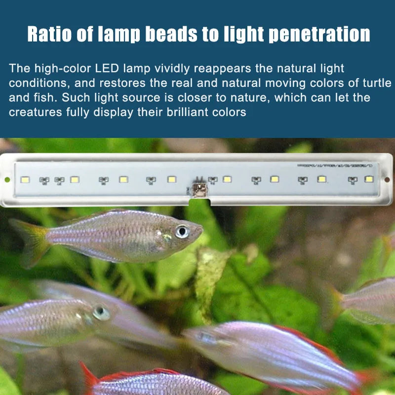 LED Aquarium Clip-On Light 2W 5V Strip Lamp for Fish Tanks