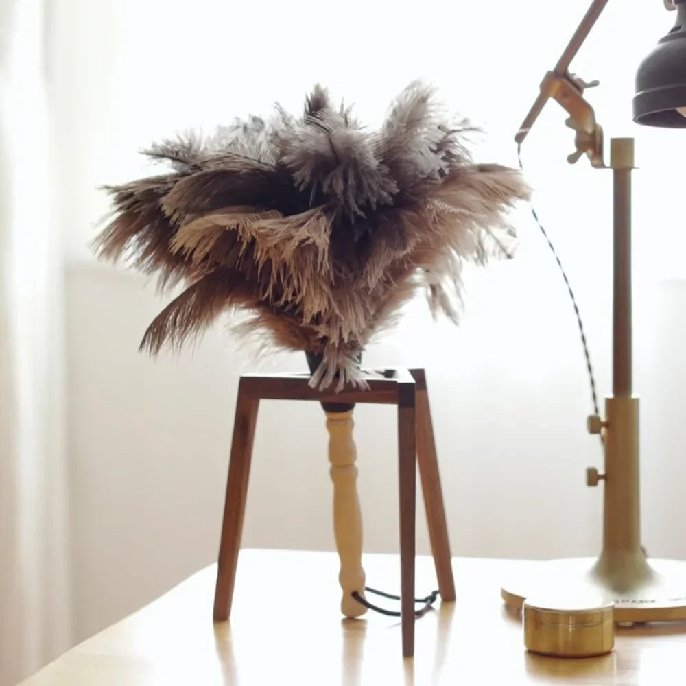 Ostrich Feather Duster Wooden Handle – Anti-Static Home Duster