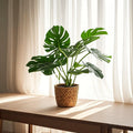 Artificial Monstera Leaf Faux Potted Plant | Realistic Decor