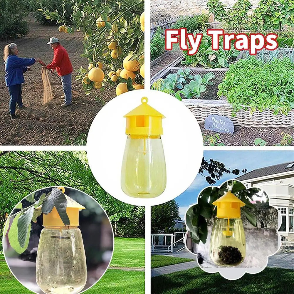 Fruit Fly Trap | Garden & Orchard Insect Catcher | 1–5 Pack