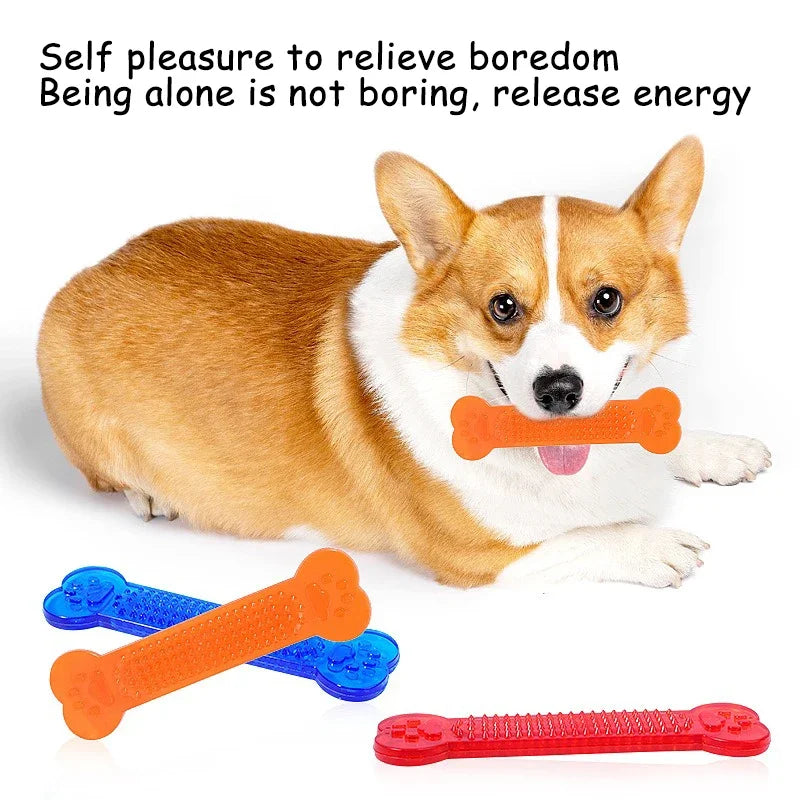 Indestructible Rubber Bone Chew Toy & Toothbrush for Dogs