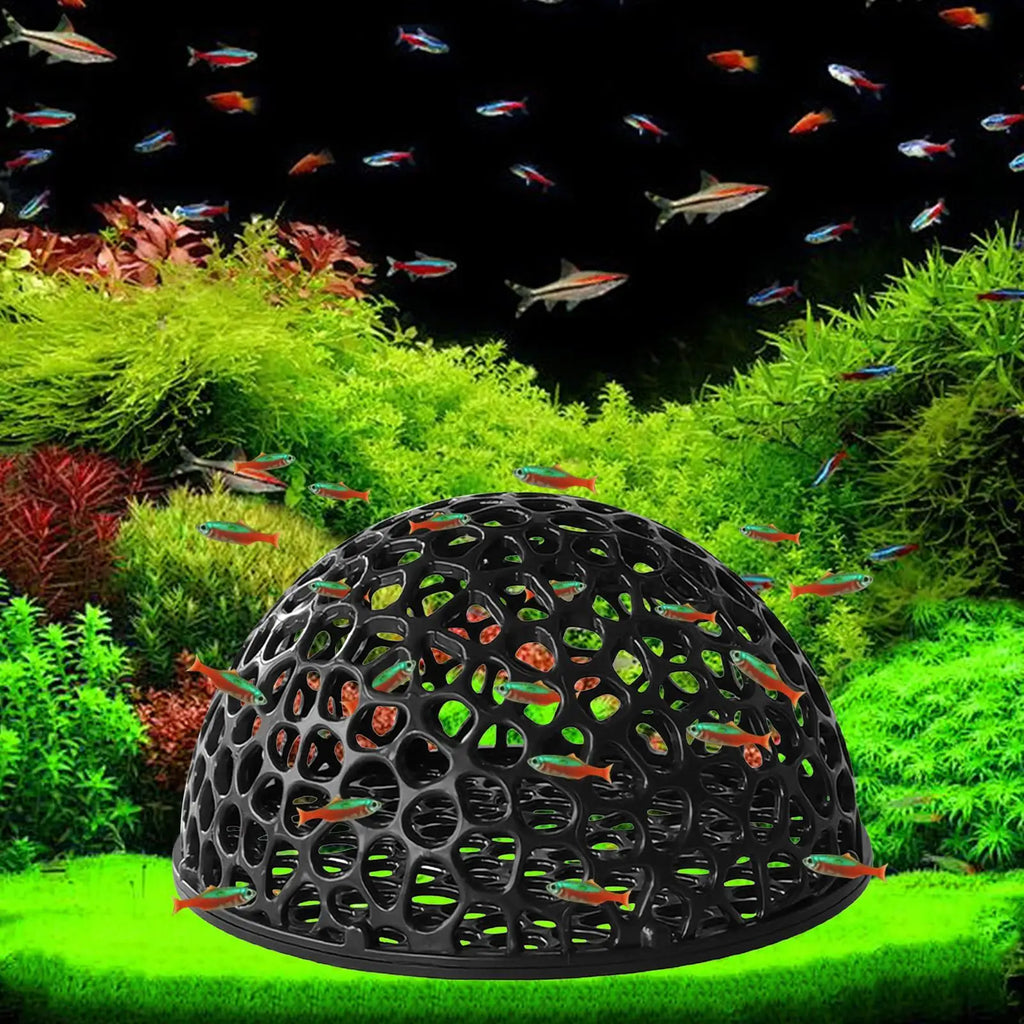 Aquarium Shrimp Cave | Betta Fish Hiding Shelter & Tank Decor