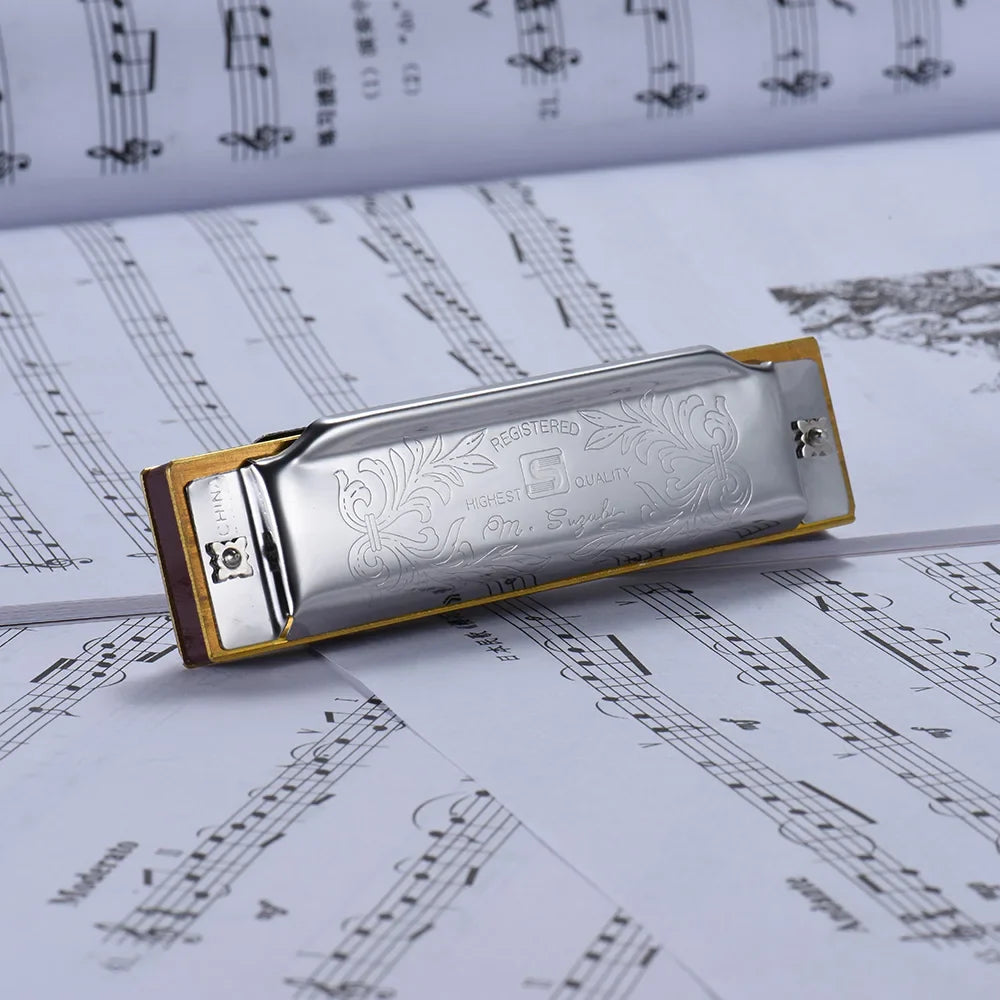 10-Hole Diatonic Blues Harmonica | Key C A B E F G, Beginner