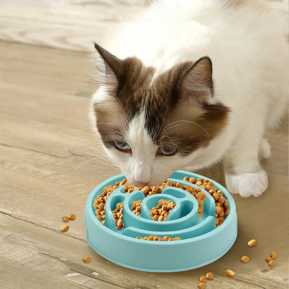 Dog Slow Feeder Bowl | Non-Slip Maze Design, All Dog Sizes