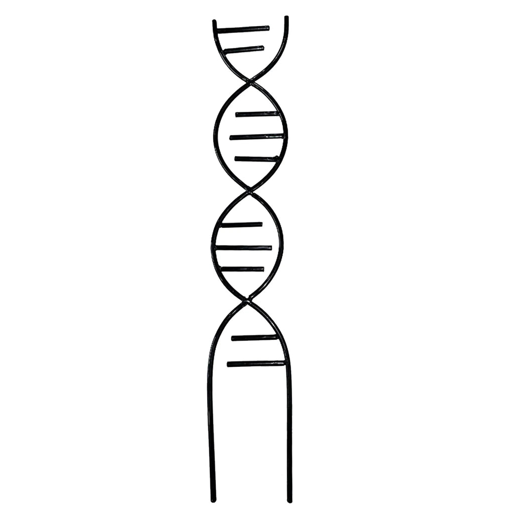 Metal DNA Shape Plant Trellis | Climbing Plant Support Stake