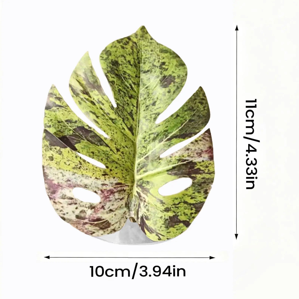 Jumping Spider Leaf Terrarium Decor with Suction Cup Mount