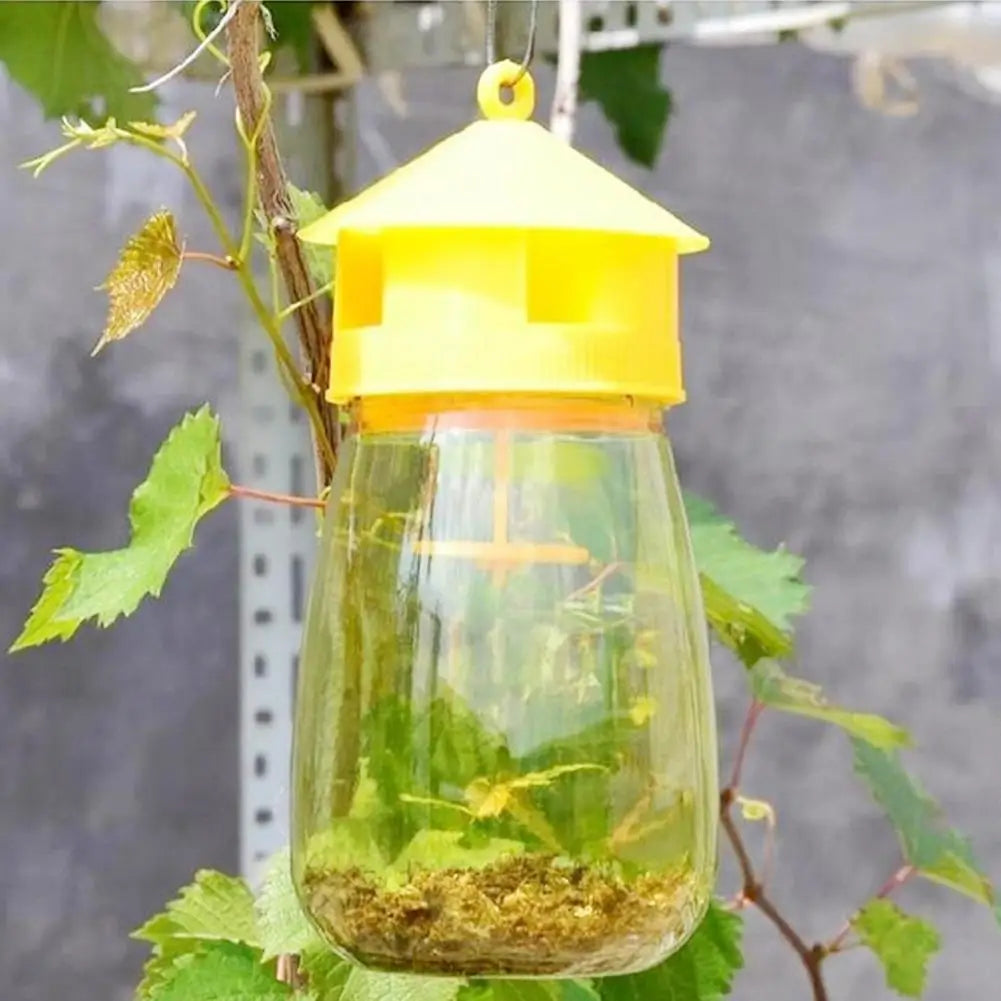 Fruit Fly Trap | Garden & Orchard Insect Catcher | 1–5 Pack
