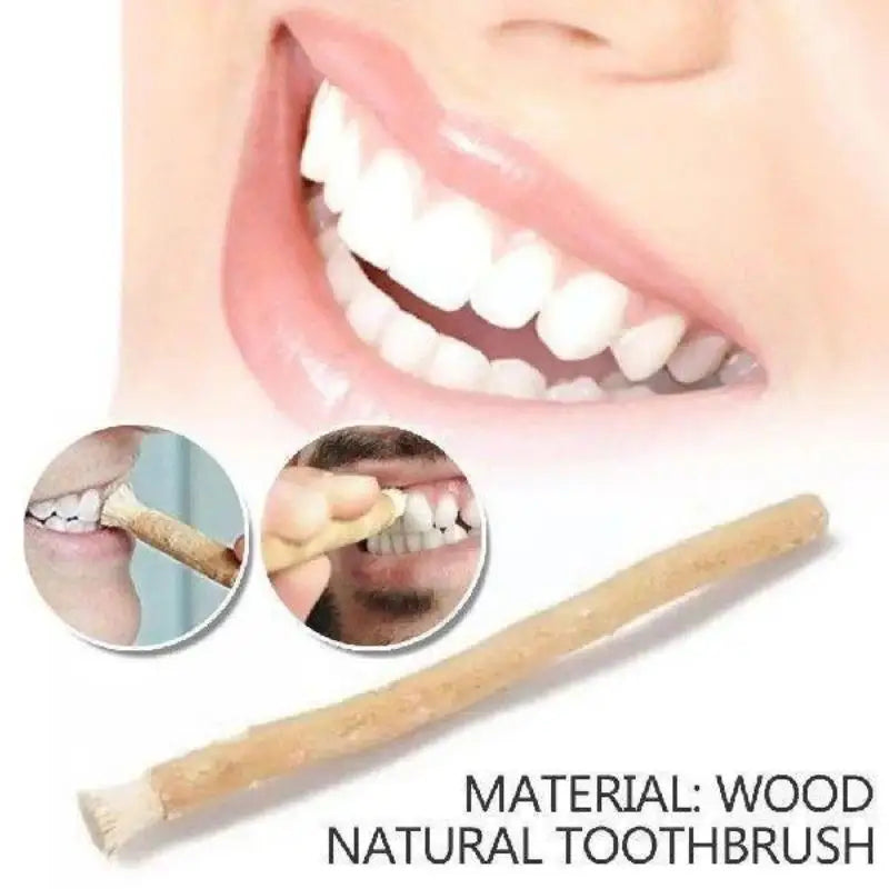 Natural Miswak Toothbrush Stick – Eco Teeth Whitener