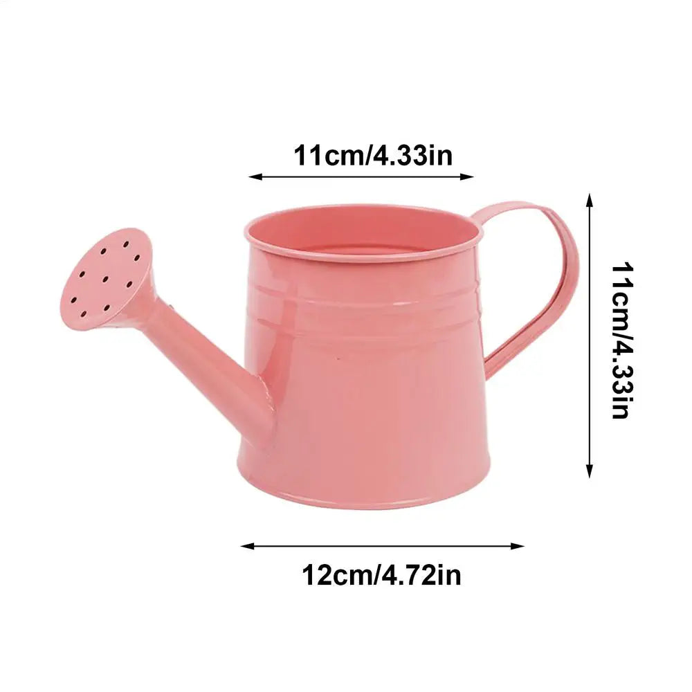 Small Watering Can Indoor Plants Long Spout Flower Arrangement Bucket