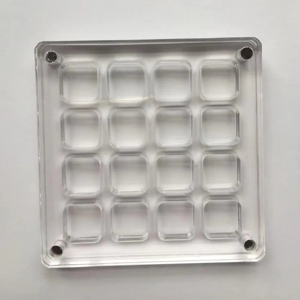 16-Grid Seashell Display Box Magnets Acrylic Storage Organizer