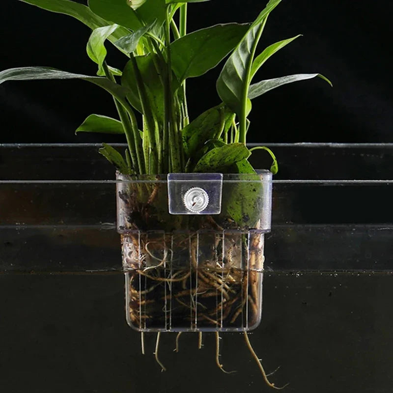 Wall-Mounted Aquarium Planter Cup – Fish Tank Plant Holder