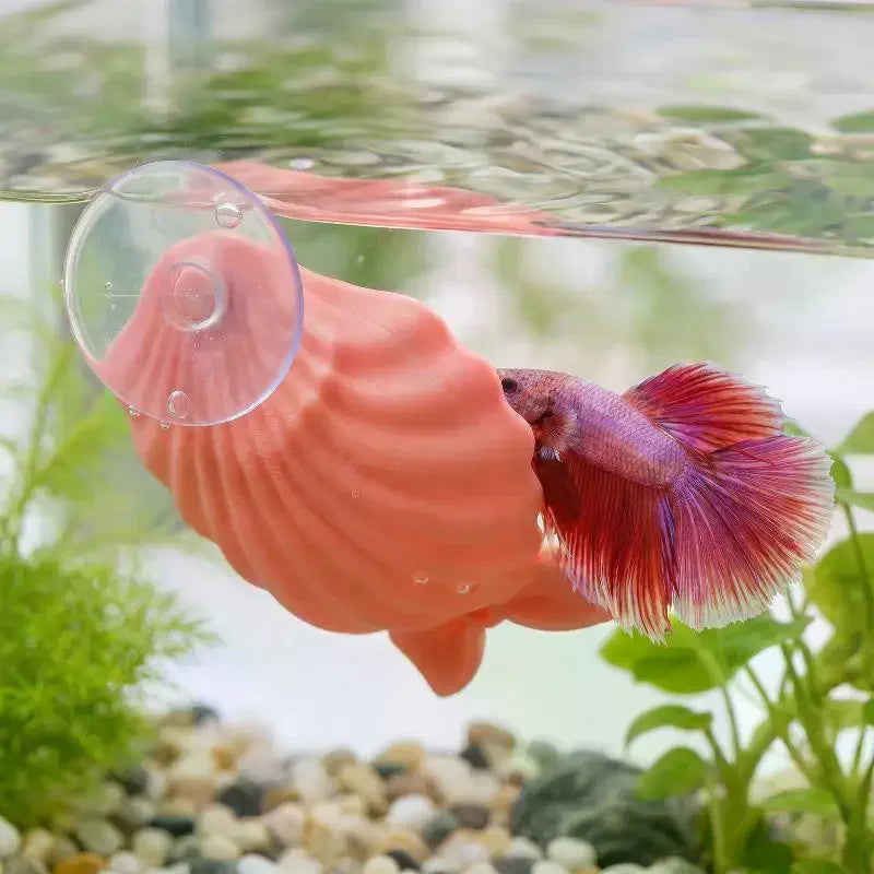 Shell-Shaped Betta Feeding Dish with Suction Cup | Fish Tank