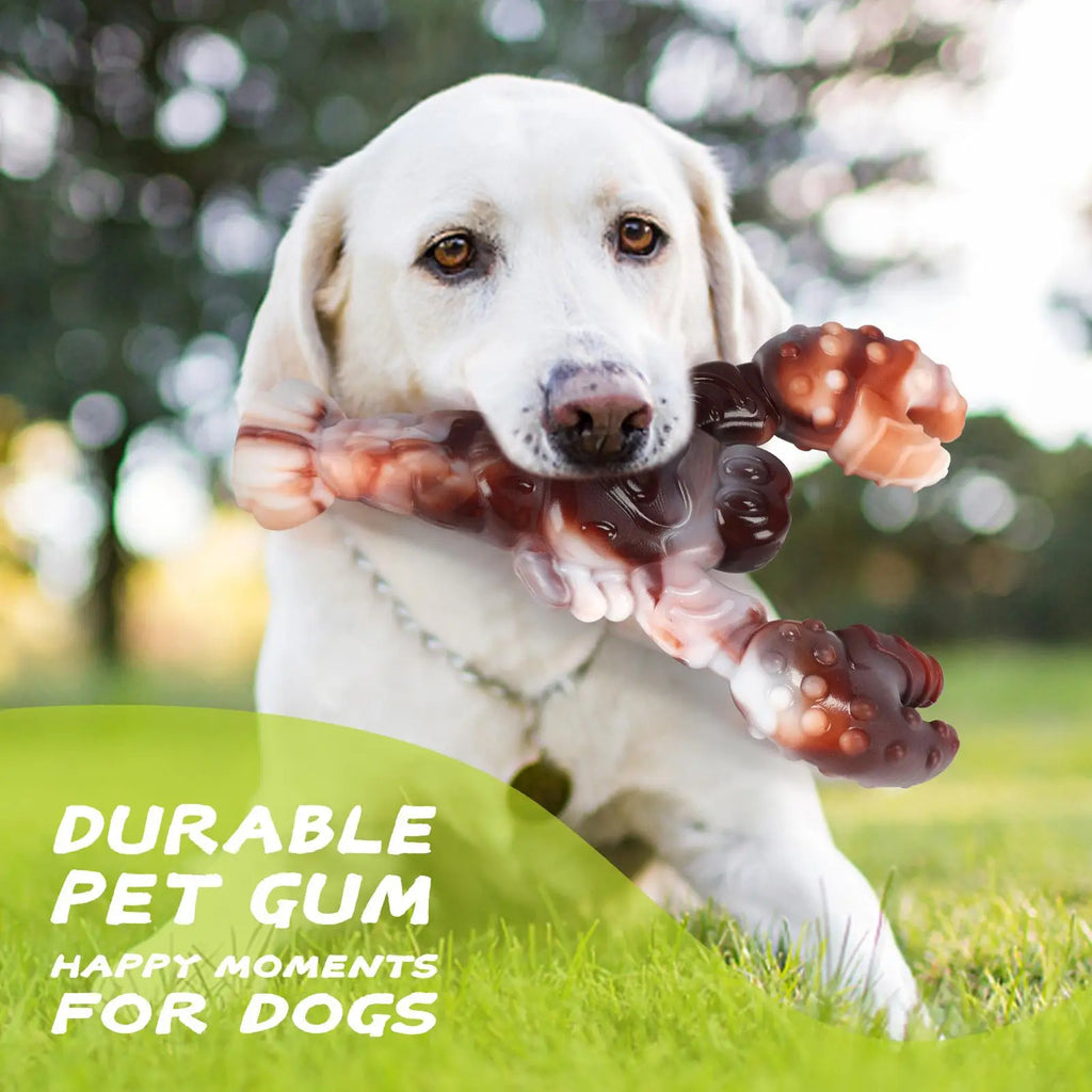 Lobster Dog Chew Toy – Durable Nylon Interactive Pet Toy