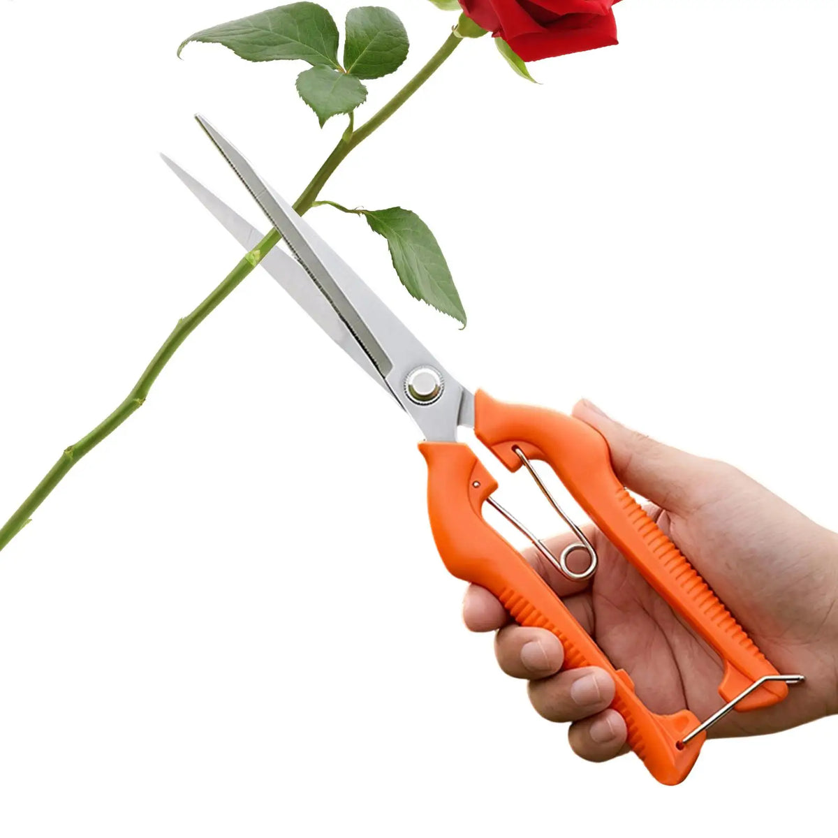 Stainless Steel Garden Pruners | Shears for Trimming & Cutting