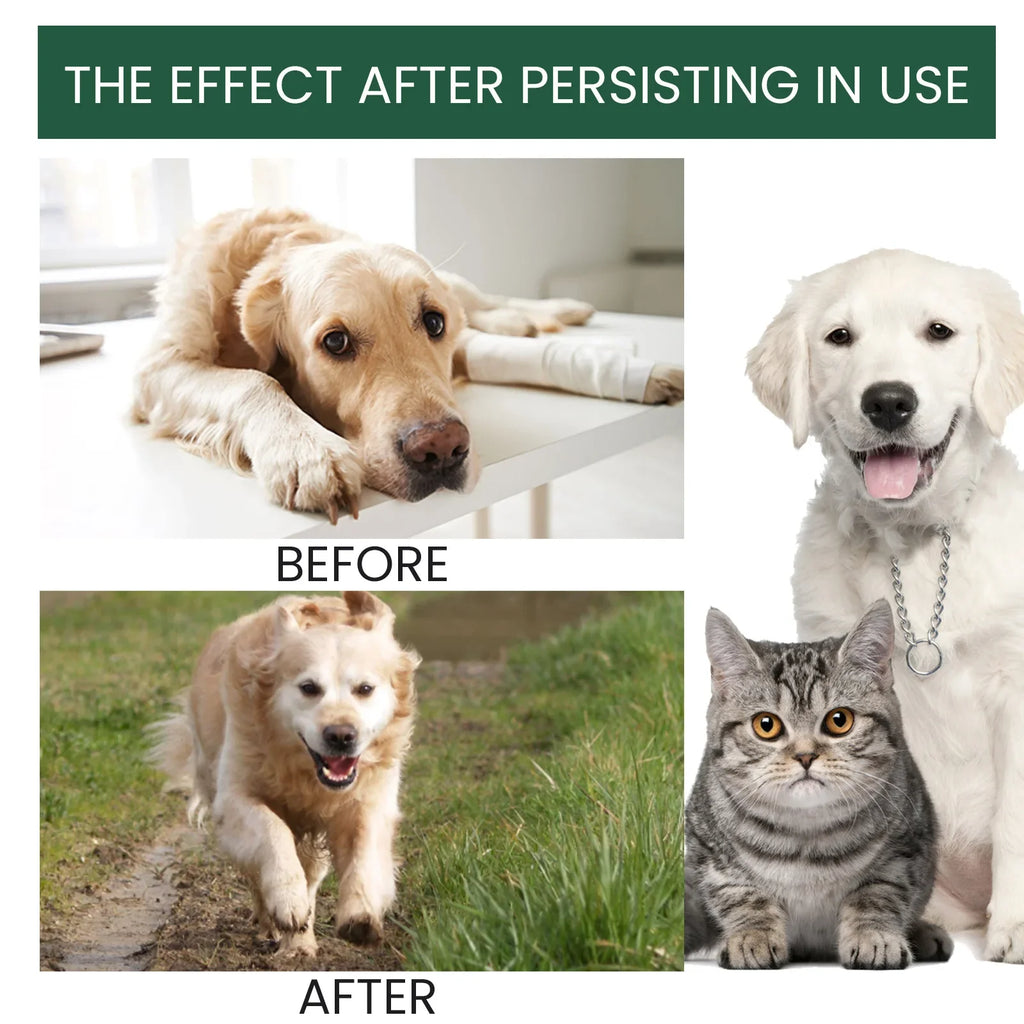 Yegbong Dog Joint Care Drops | Hip & Bone Supplement