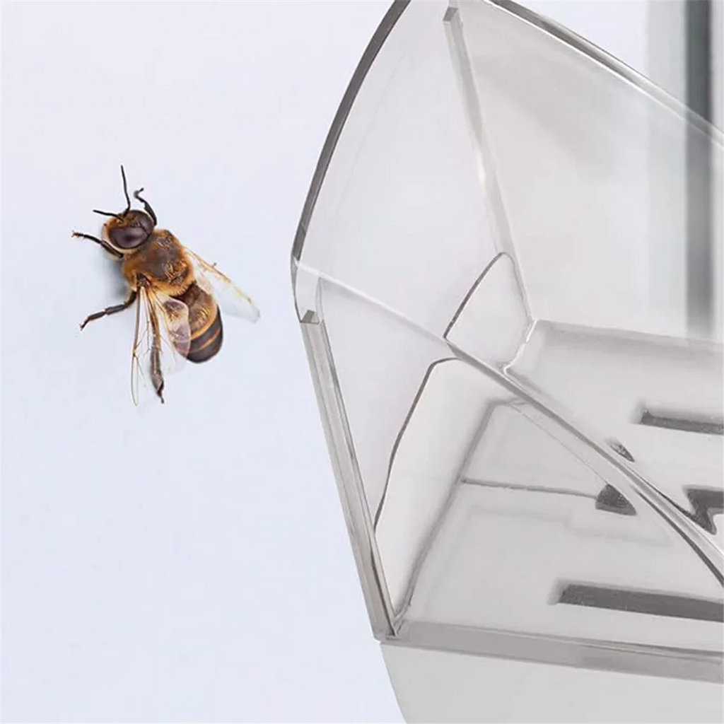 Handheld Insect & Spider Catcher – Chemical-Free Bug Trap