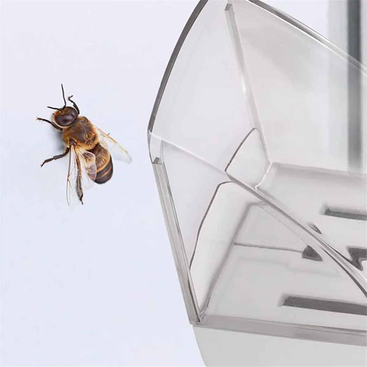Handheld Insect & Spider Catcher – Chemical-Free Bug Trap