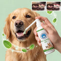 Plant-Based Pet Dental Gel Dogs & Cats – 100ml No-Rinse