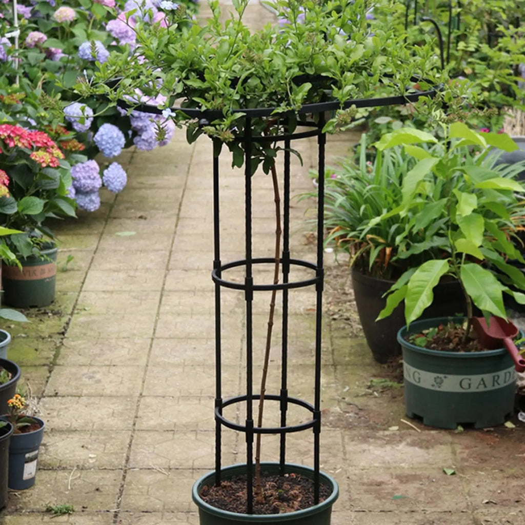 Umbrella Tower Garden Trellis for Climbing Plants | 5 Sizes