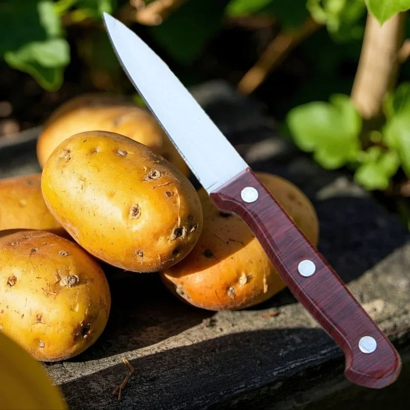 Professional Paring Knife – Anti-Rust Stainless Steel Kitchen