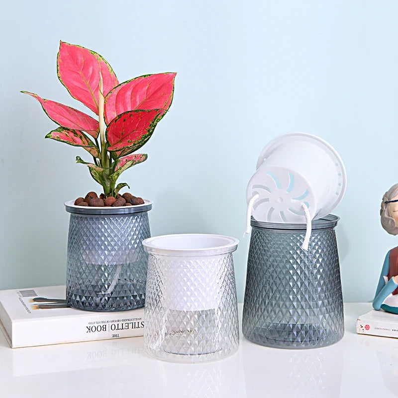 Self-Watering Transparent Planter – Hydroponic Flower Pot