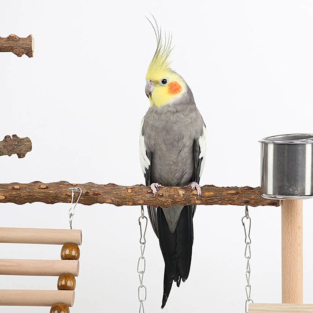 Wooden Bird Playstand Perch | Cockatiel Conure Lovebird Gym
