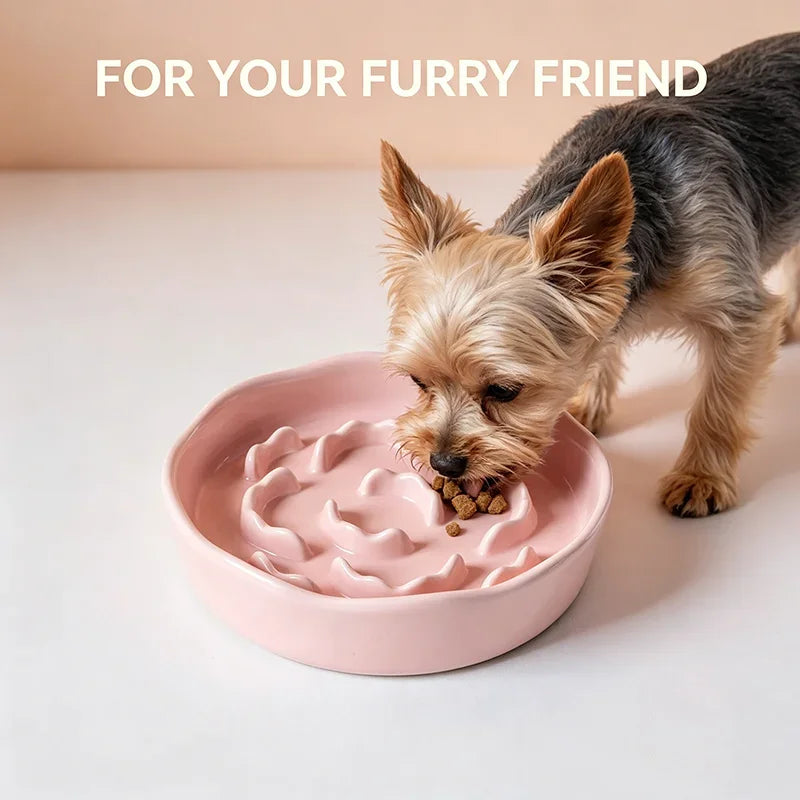 Ceramic Anti-Choking Slow Feeder Cat Bowl | Stable & Safe