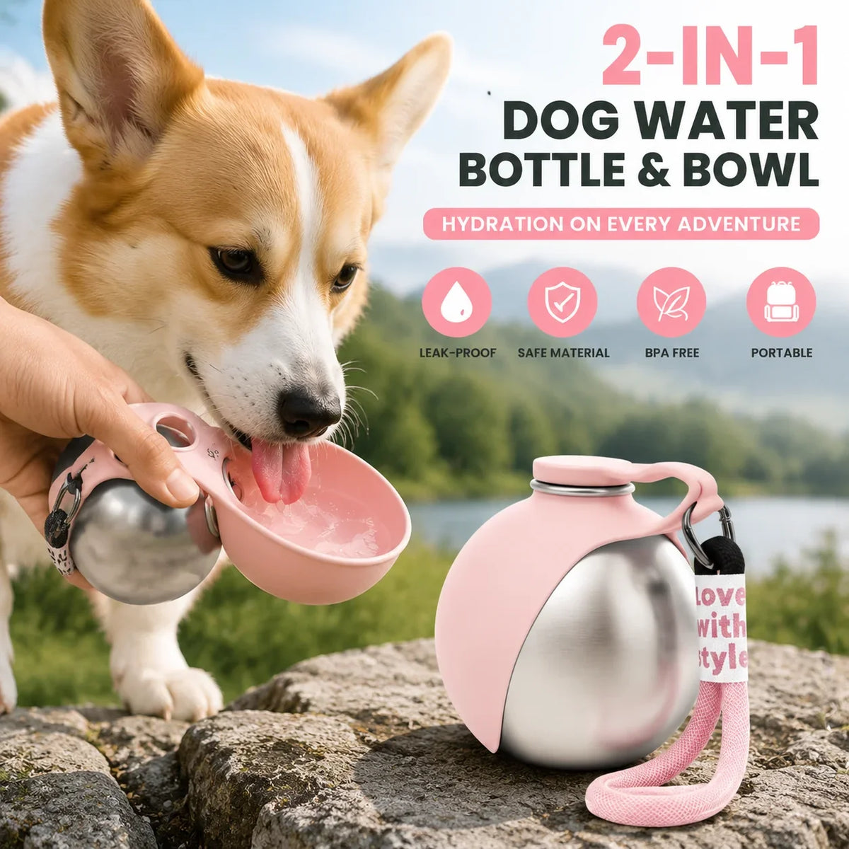 Portable Stainless Steel Pet Water Bottle with Silicone Bowl