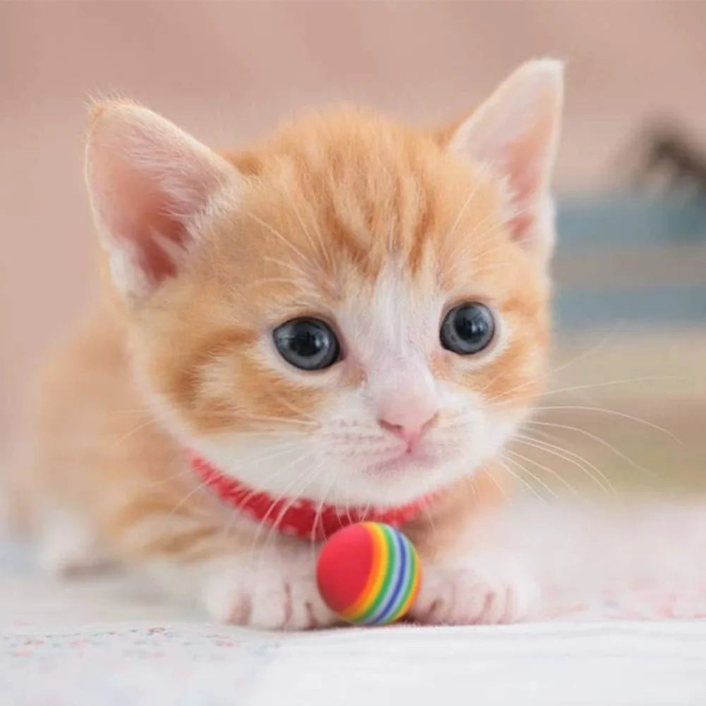 Rainbow EVA Cat Toy Balls 5-Pack – Interactive Pet Play