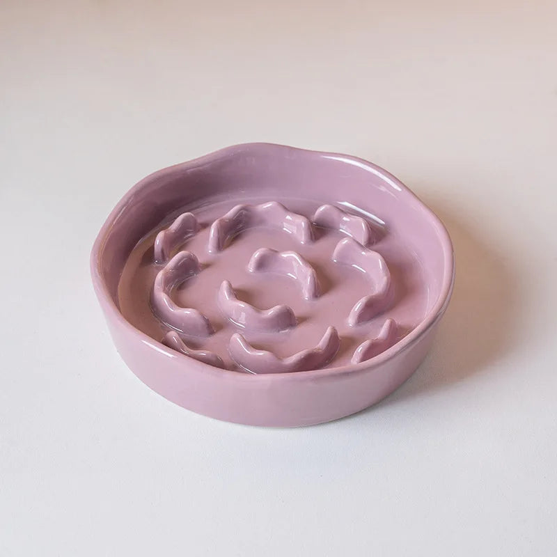 Ceramic Elevated Slow Feeder Bowl for Cats & Dogs