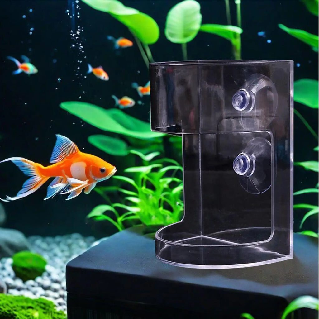 Fish Food Dispenser Transparent Feeding Dish Large Capacity