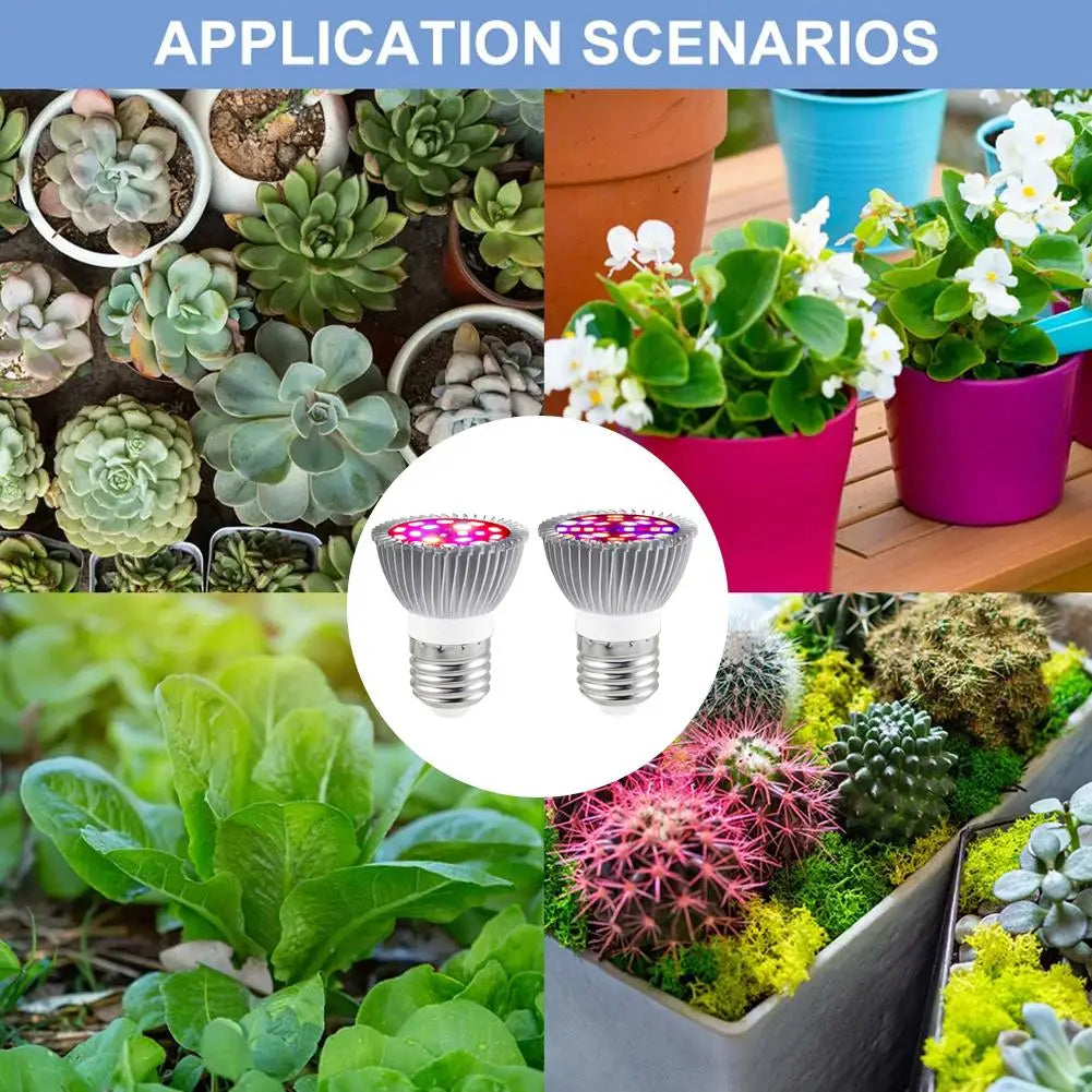 E27 Full Spectrum LED Grow Light Bulb | Indoor Plants