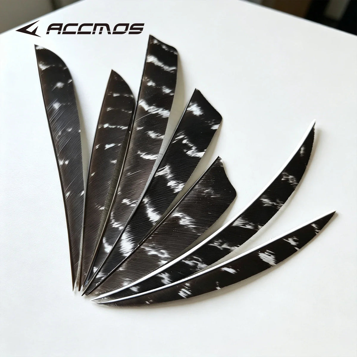 25 RW LW Natural Turkey Archery Arrow Feathers Shield 3 4 Fletching
