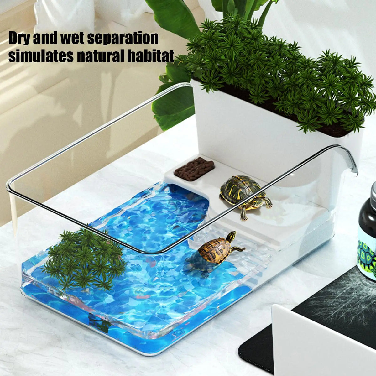 Small Turtle Tank Reptile Habitat Box Transparent Tortoise Breeding