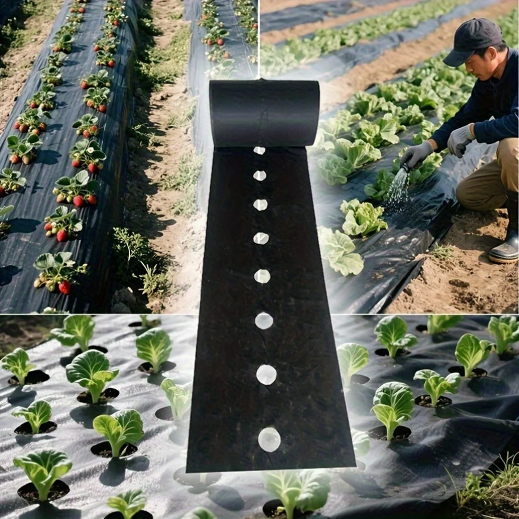 Black Weed Control Mulch Cloth with Planting Holes – 60cm×10m