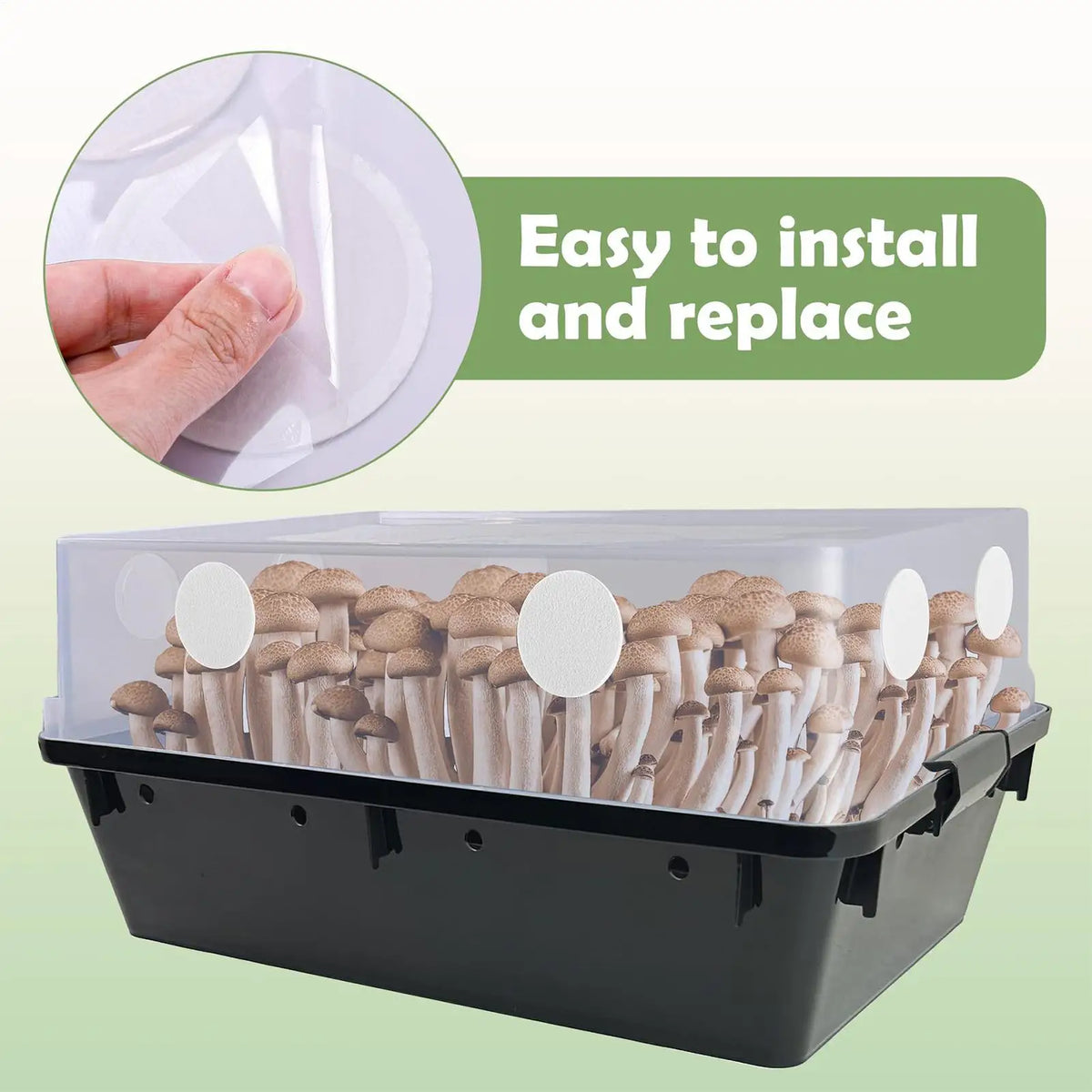 Mushroom Filter Discs 24-Pack – Moisture Preservation Pads