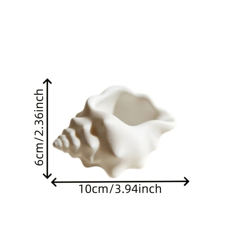 Creamy White Seashell Storage Box | Desktop Organizer