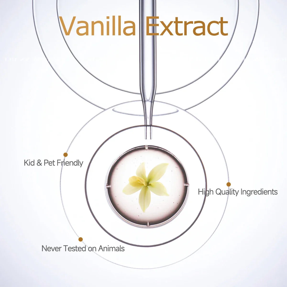 Vanilla Essential Oil – Hydrating Aromatherapy Skin Care 30–100ml