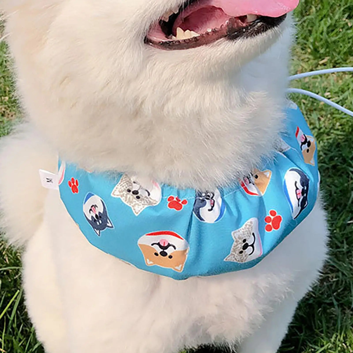 Pet Cooling Bandana & Ice Collar for Dogs & Cats | Adjustable