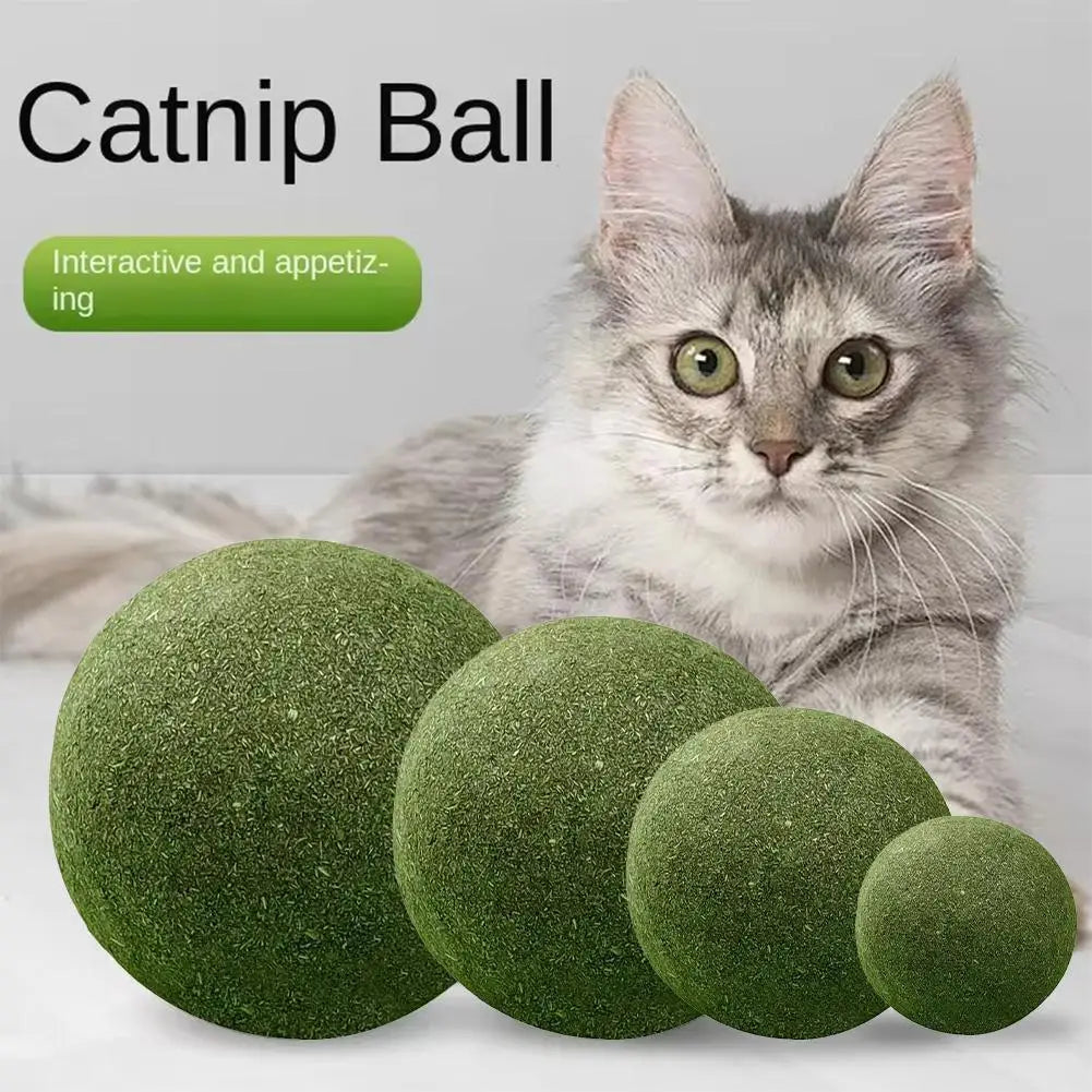 Natural Catnip Ball Toy – Teeth Grinding & Cat Enrichment