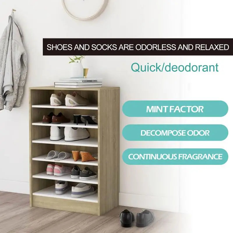 Foot & Shoe Deodorizing Spray – Tea Tree & Mint 100ml
