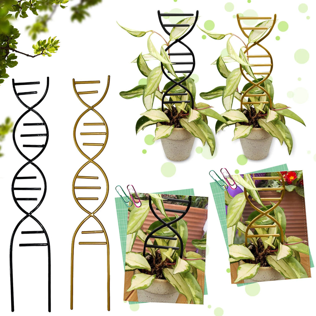 Metal DNA Shape Plant Trellis | Climbing Plant Support Stake