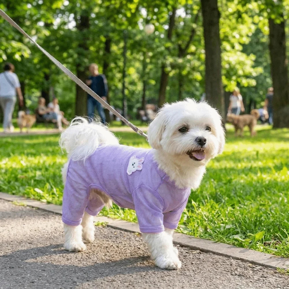 Mesh Dog Sun-Proof Vest | Breathable Summer Pet Clothes & D-Ring