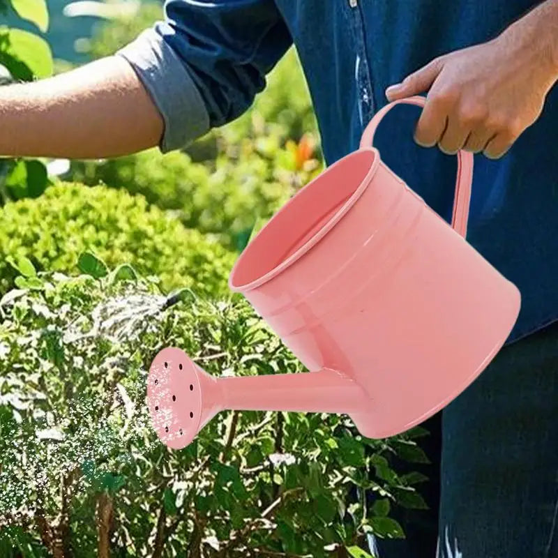 Small Watering Can Indoor Plants Long Spout Flower Arrangement Bucket