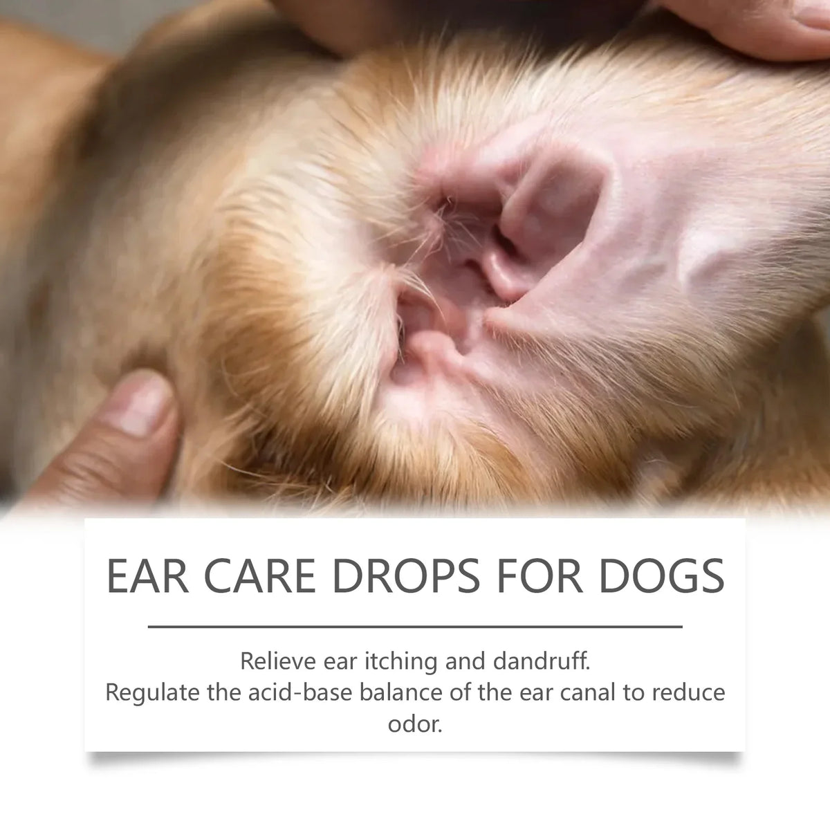 YEGBONG Dog Ear Care Drops – Itch Relief & Cleaner 60ml