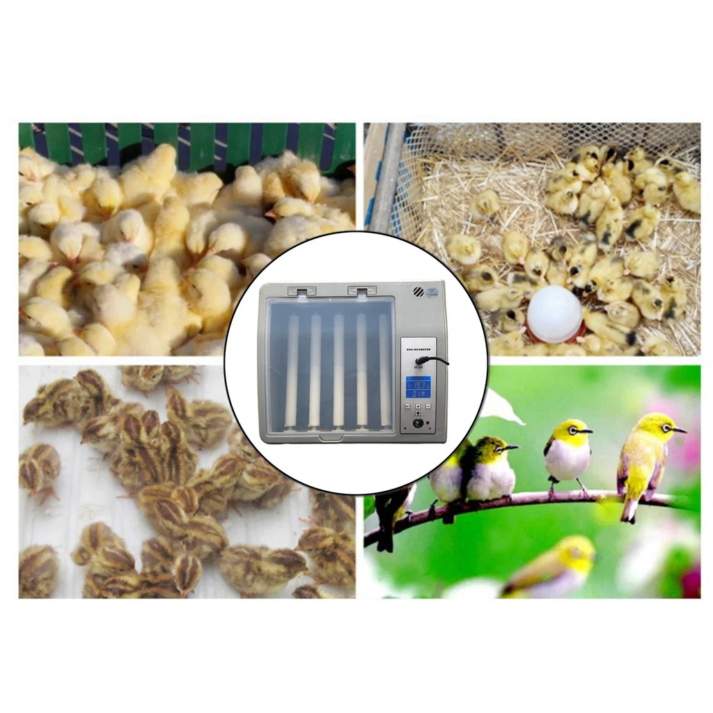 Automatic 16-Egg Incubator – Auto Turner & Poultry Hatcher