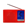 FM AM Radio DIY Soldering Kit – Electronics Learning Project