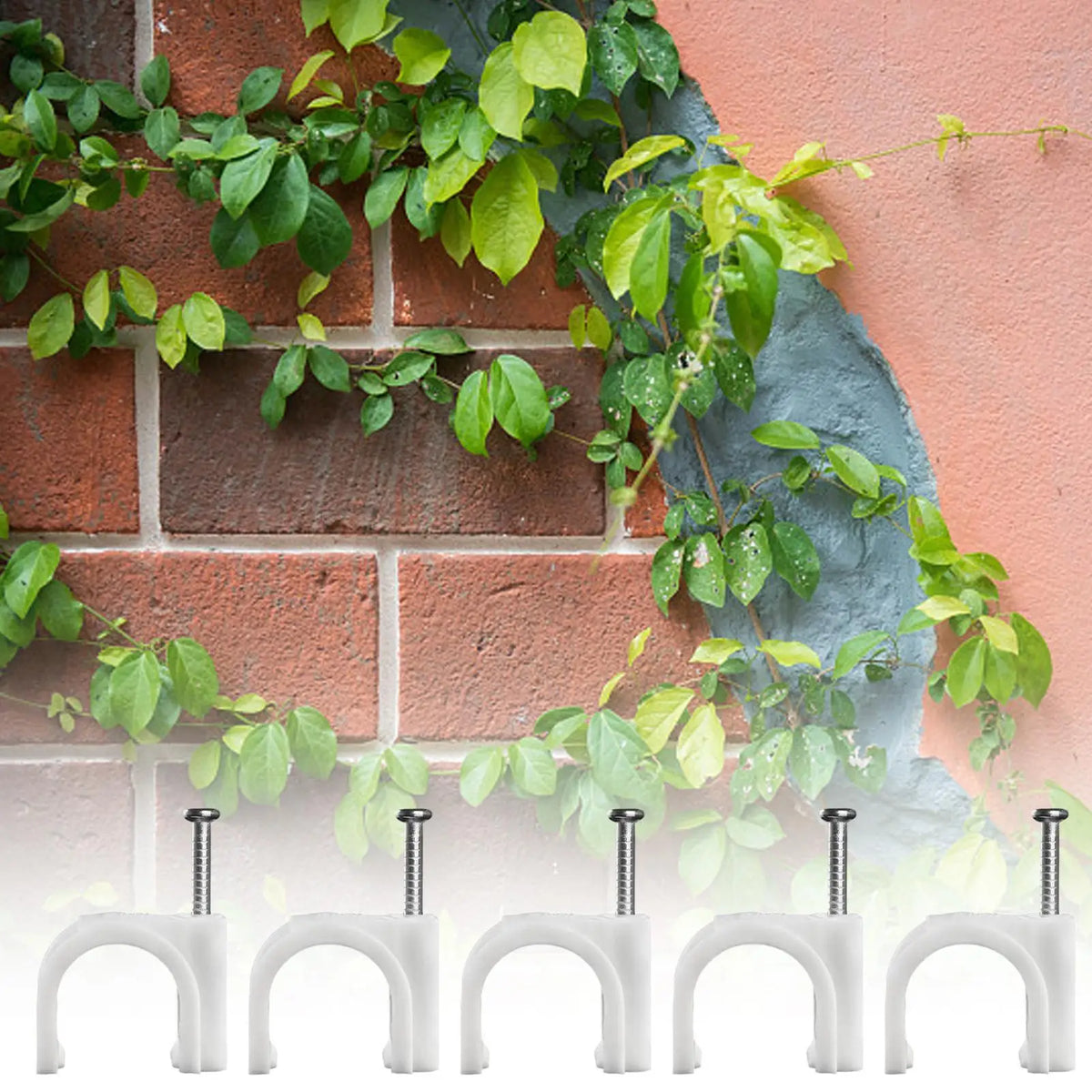 100-Pack Plant Wall Clips – Climbing Plant & Cable Support